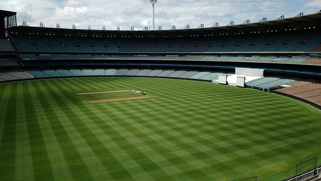 世界杯夺冠概率大解析