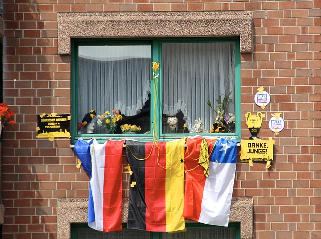 官方：捷克主力中后卫维蒂克因伤退出国家队